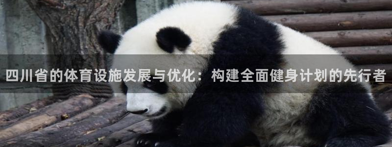 德国意昂4集团：四川省的体育设施发展与优化：构建全面