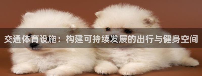 意昂体育4招商电话地址是多少：交通体育设施：构建可持