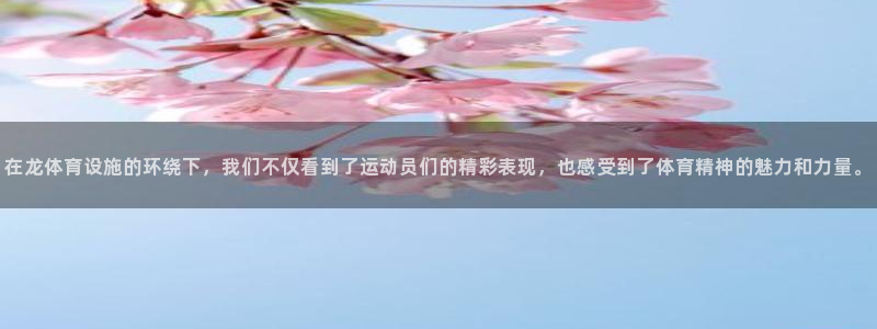 意昂体育4平台注册：在龙体育设施的环绕下，我们不仅看
