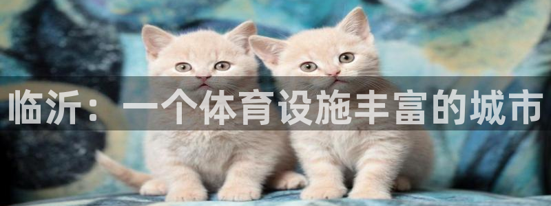 意昂体育4招商电话号码是多少号：临沂：一个体育设施丰