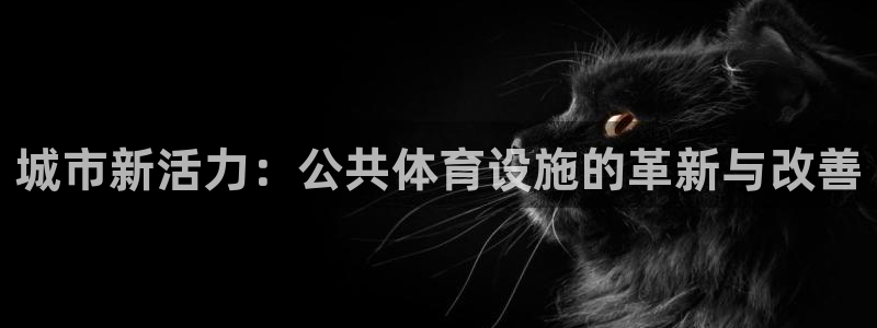 意昂集团官网：城市新活力：公共体育设施的革新与改善