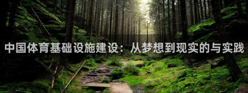 意昂体育4：中国体育基础设施建设：从梦想到现实的与实践